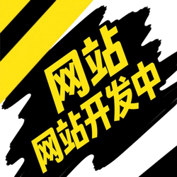 网站开发中logo-左上